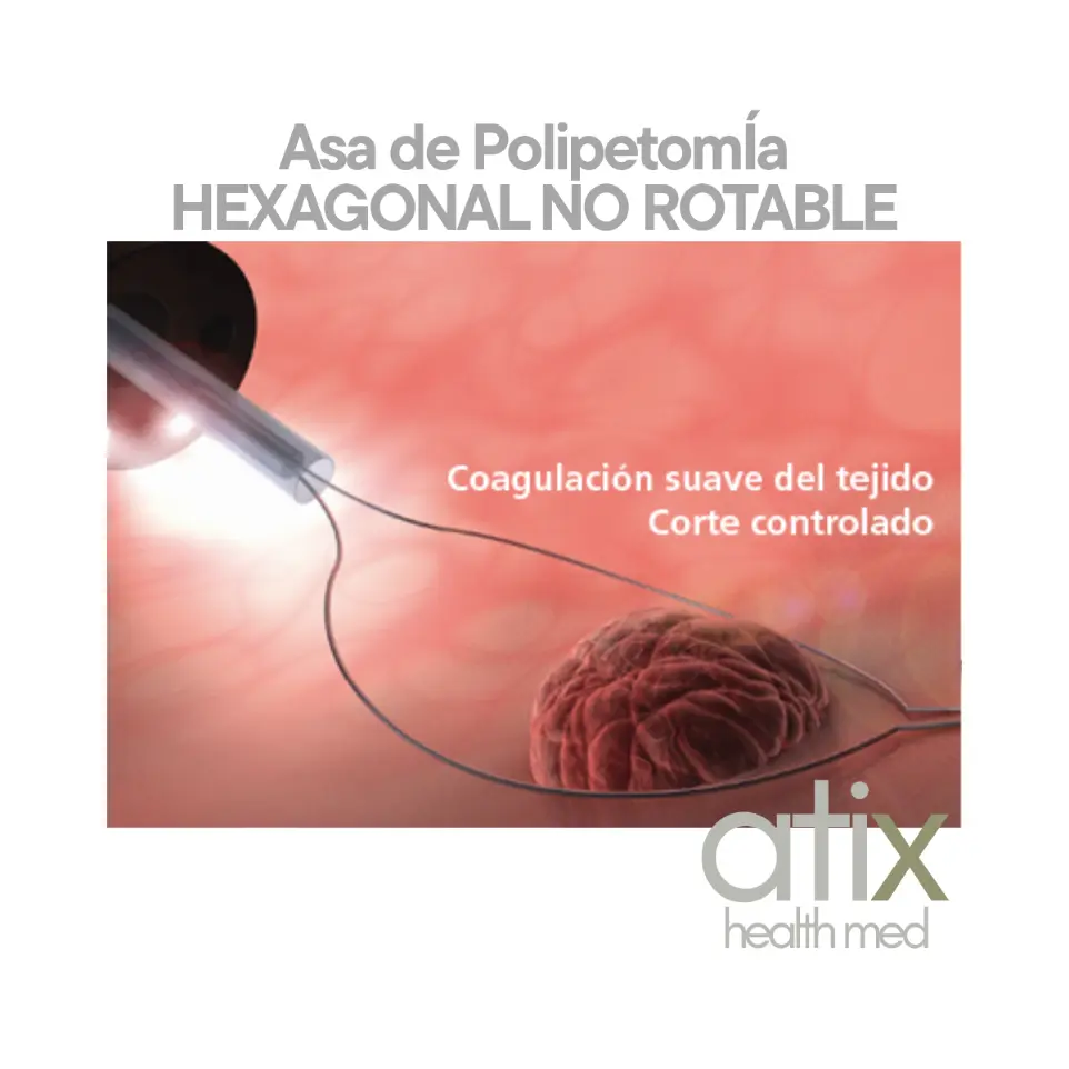 "Alton Asa Hexagonal de polipectomía NO Rotable para alta frecuencia con lazo trenzado, instrumento endoscópico para resección precisa y coagulación simultánea de pólipos"