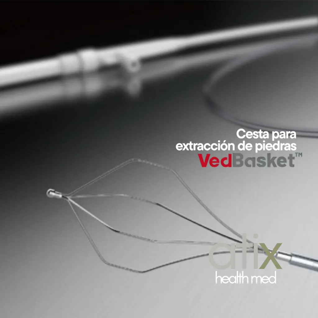 Encabezado (12).webp