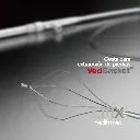 Encabezado (12).webp