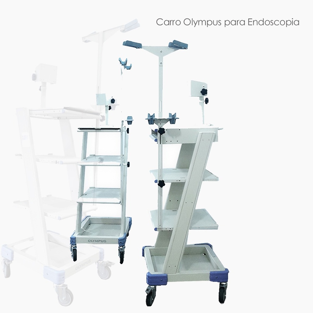 [AC-TC-C1] Olympus Cart